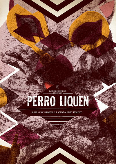 Póster de Perro Líquen