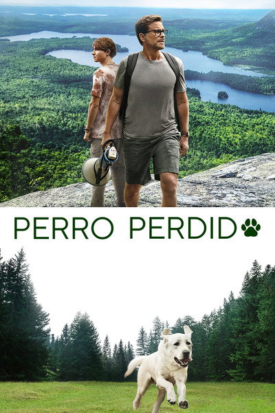 Póster de Perro perdido