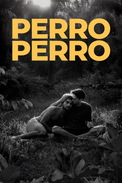 Póster de Perro perro