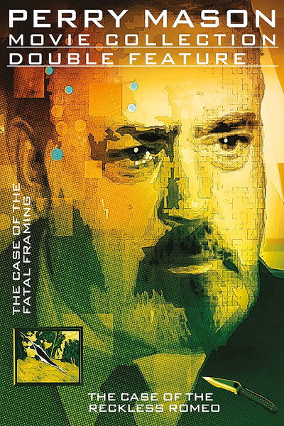 Póster de Perry Mason: El caso de la conspiración fatal