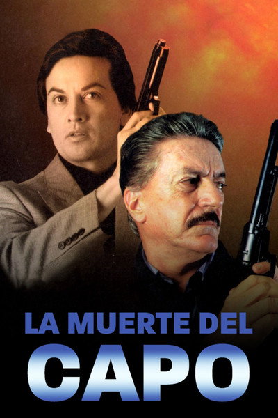 Póster de Persecución