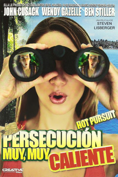 Póster de Persecución intensa