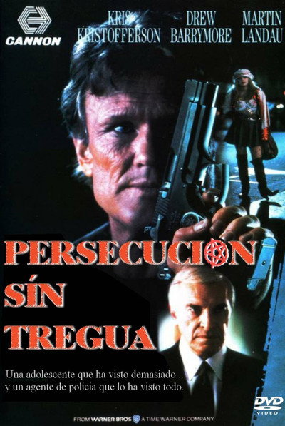 Póster de Persecución sin tregua