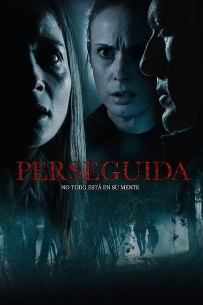 Póster de Persecuted