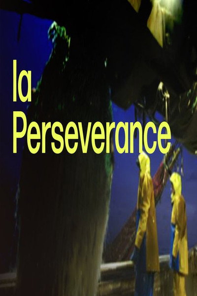 Póster de Perseverance