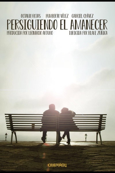 Póster de Persiguiendo el amanecer