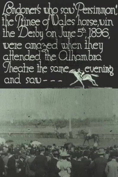 Póster de Persimmons Winning the Derby