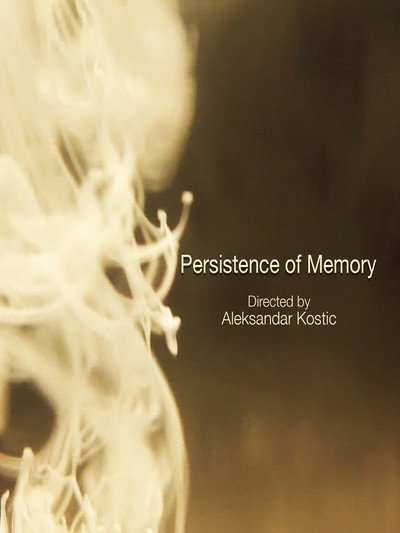 Póster de Persistence of Memory