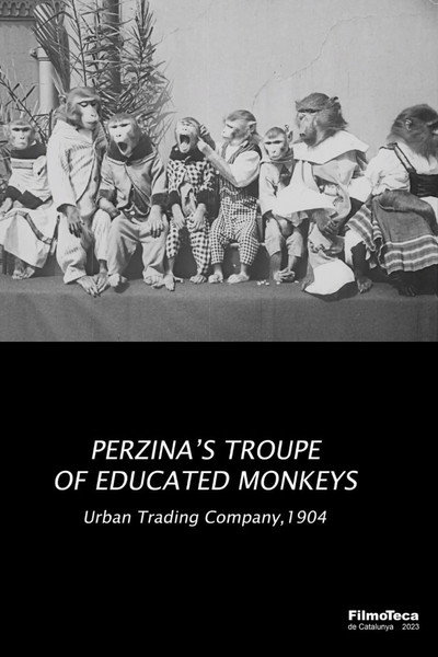 Póster de Perzina's Troupe of Educated Monkeys