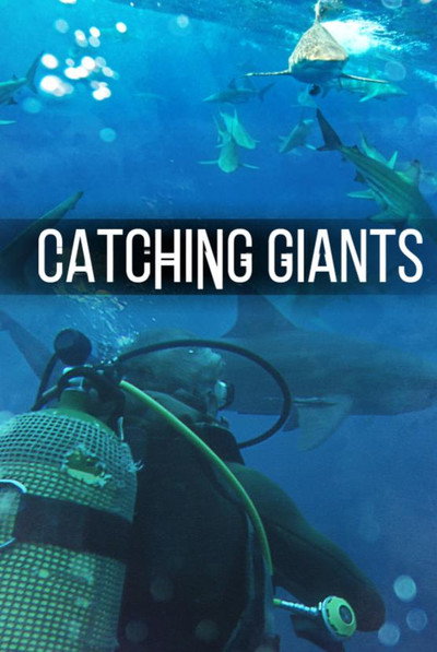 Póster de Pesca de gigantes
