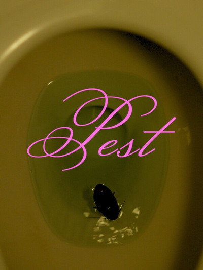 Póster de Pest
