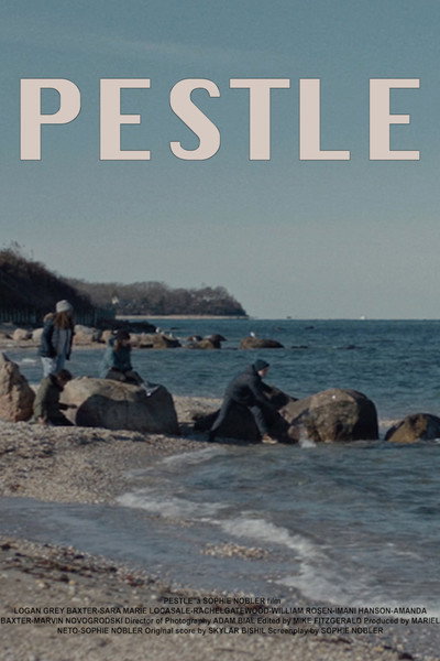 Póster de Pestle