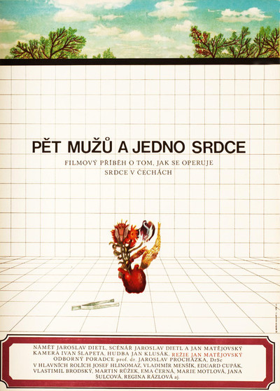 Póster de Pet muzu a jedno srdce