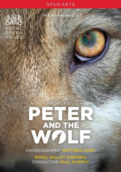 Póster de Peter and the Wolf