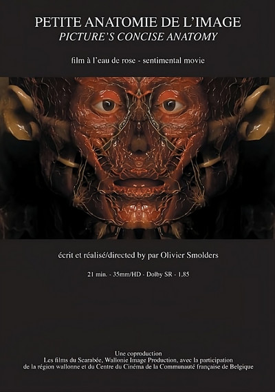 Póster de Petite anatomie de l'image