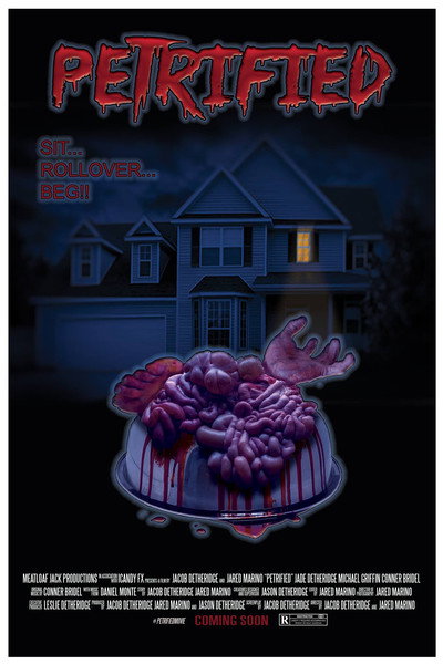 Póster de Petrified