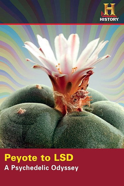 Póster de Peyote to LSD: A Psychedelic Odyssey