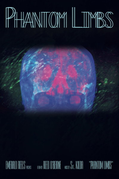 Póster de Phantom Limbs