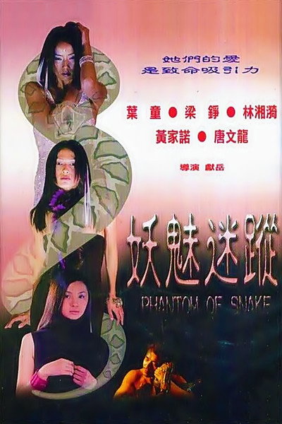 Póster de Phantom of Snake