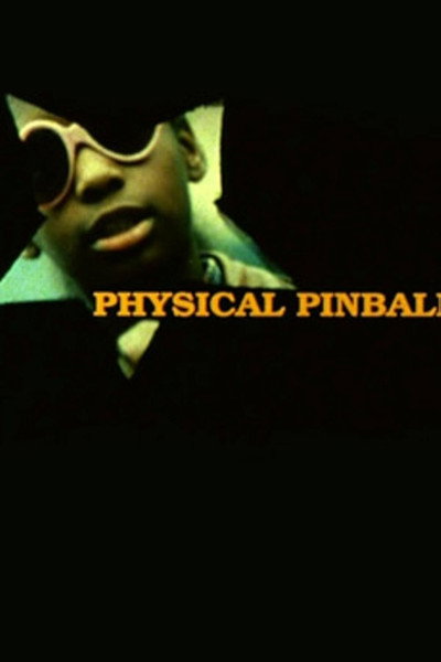 Póster de Physical Pinball