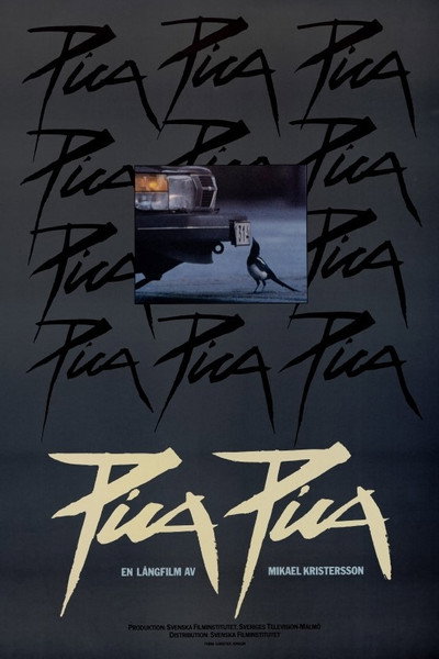 Póster de Pica Pica