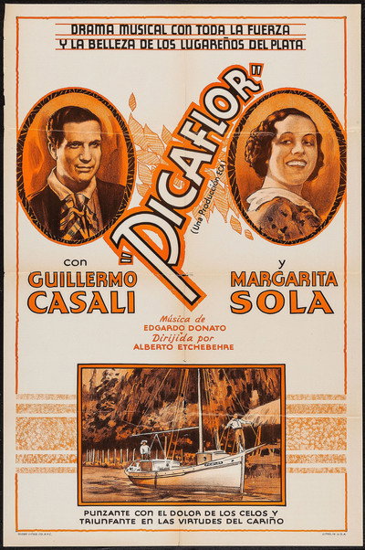 Póster de Picaflor
