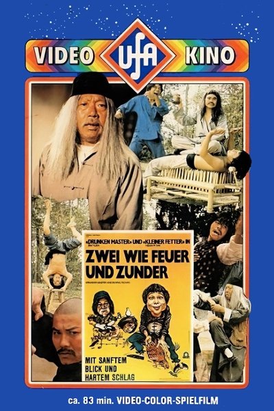 Póster de Pícaro y señor del Kung-Fu