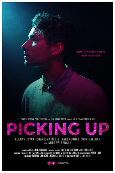 Póster de Picking Up