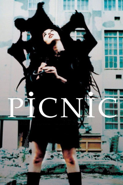 Póster de Picnic