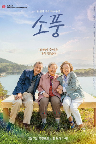 Póster de Picnic