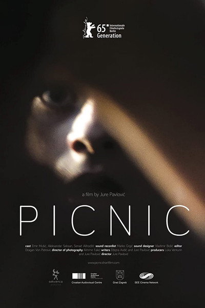 Póster de Picnic