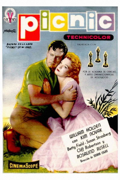 Póster de Picnic