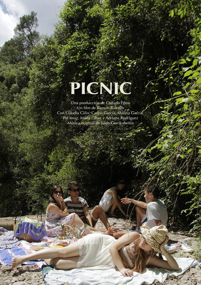 Póster de Picnic