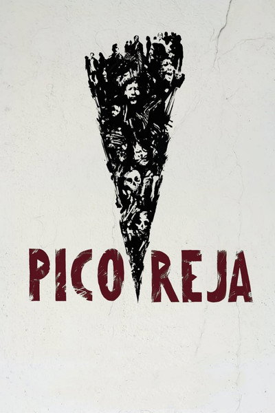 Póster de Pico Reja