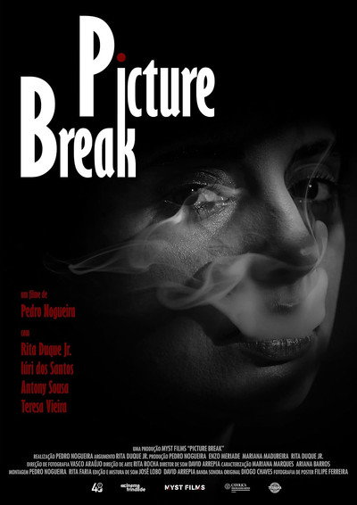 Póster de Picture Break