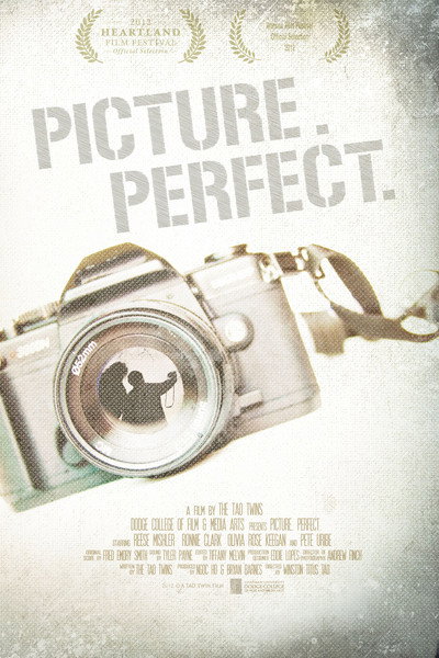 Póster de Picture. Perfect.