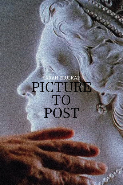 Póster de Picture to Post
