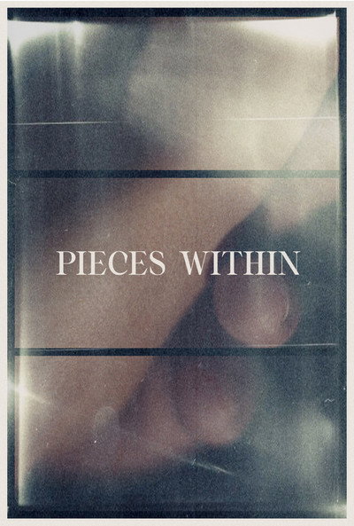 Póster de Pieces Within