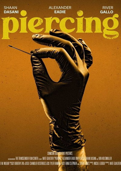 Póster de Piercing