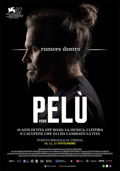Póster de Piero Pelù: Rumore dentro