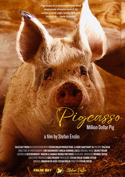 Póster de Pigcasso: Million Dollar Pig