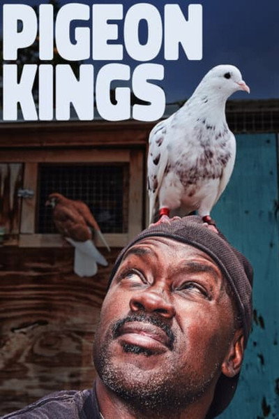 Póster de Pigeon Kings
