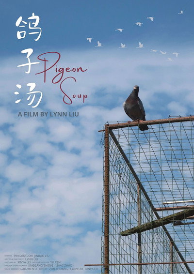 Póster de Pigeon Soup