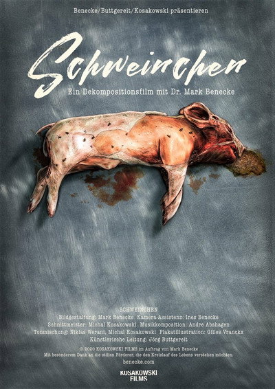 Póster de Piglets