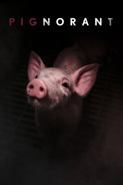 Póster de Pignorant