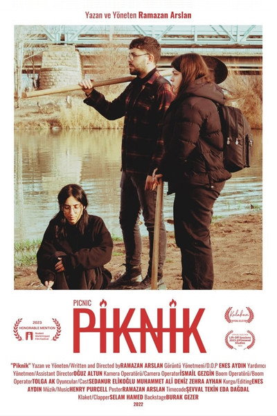 Póster de Piknik