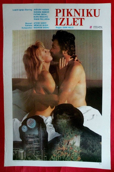 Póster de Pikniku