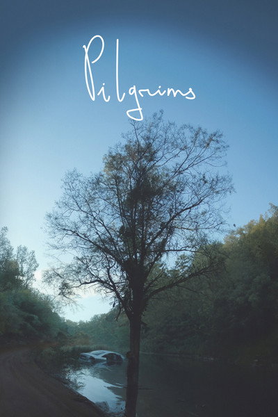 Póster de Pilgrims