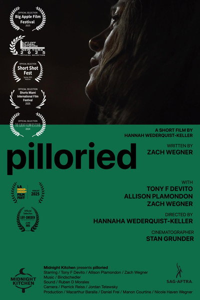 Póster de Pilloried