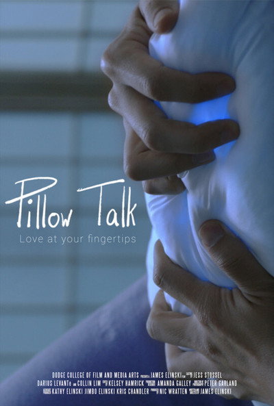 Póster de Pillow Talk